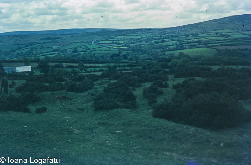 Rolling green hills under a cloudy sky
