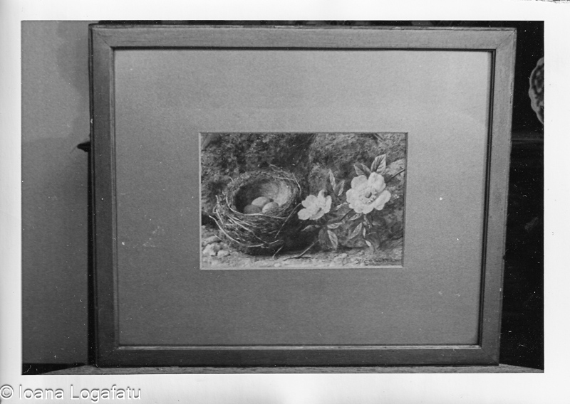 Nest with eggs and blooming flowers
