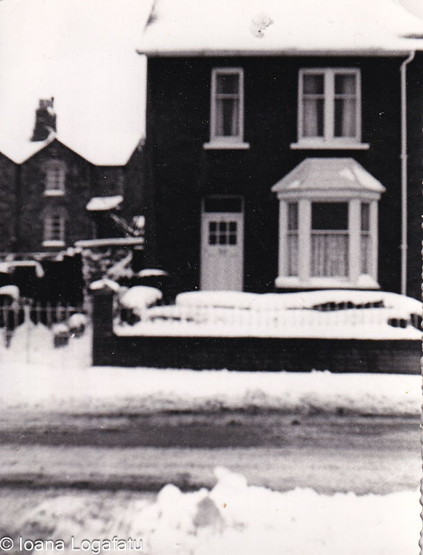 Winter wonderland in a quiet neighborhood street