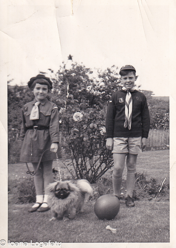 Children in a garden with their dog and a ball