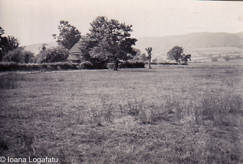 Green meadow near distant hills in early morning