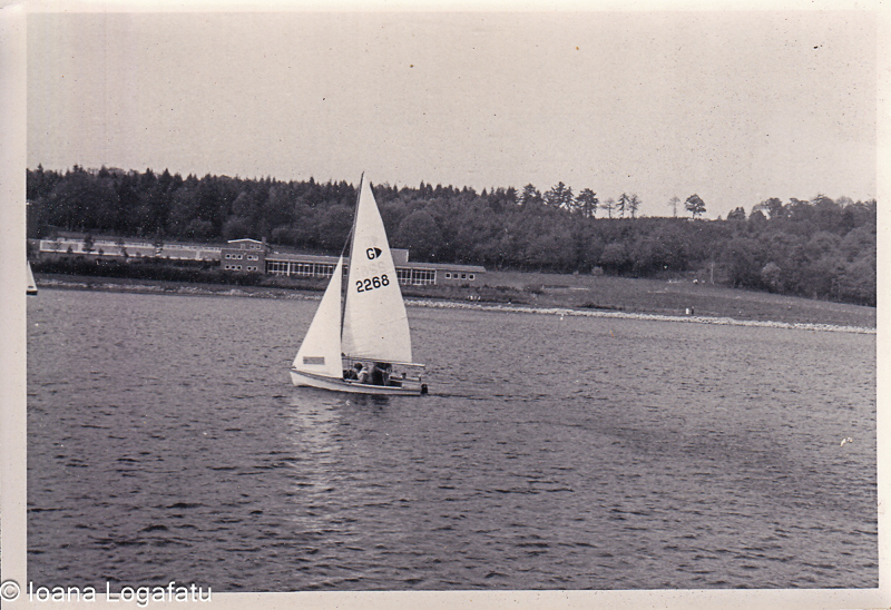 Sailing on calm waters with a backdrop of trees