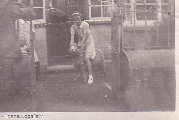 Girl playing with a dog at a local kennel