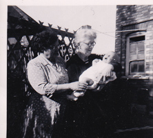 Grandmothers cherish the joy of new life together