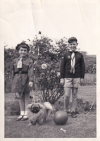 Children in a garden with their dog and a ball