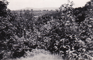 Nature's embrace above the quiet village hills