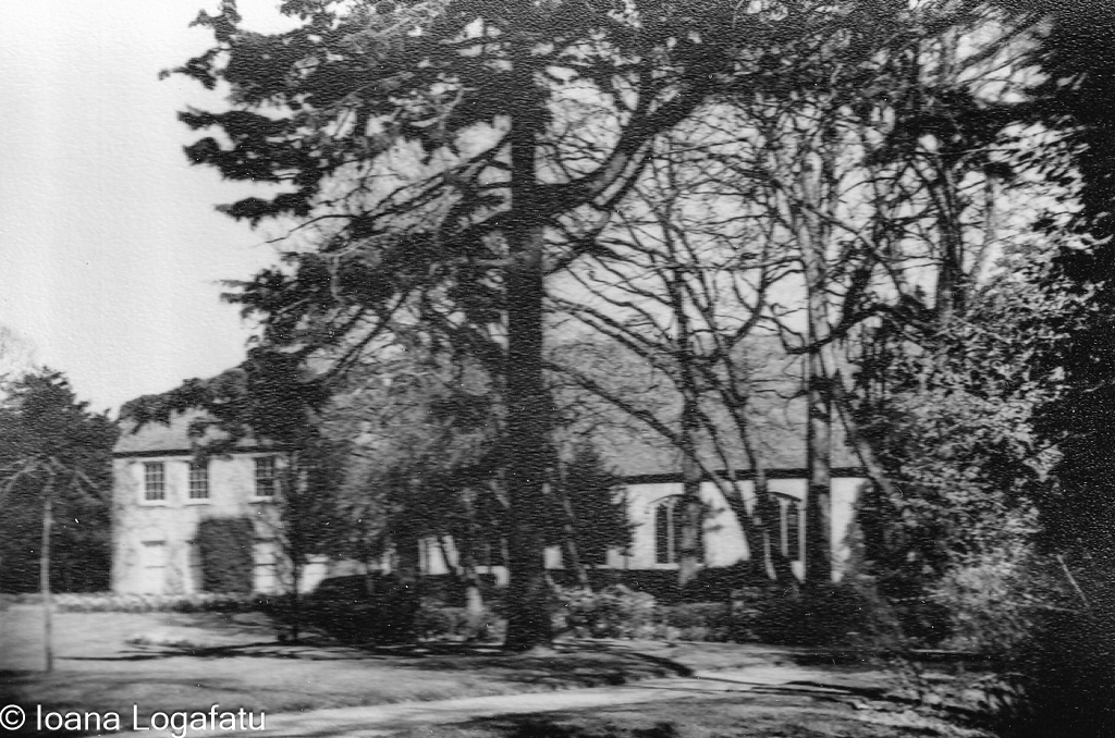 Historic building surrounded by large trees