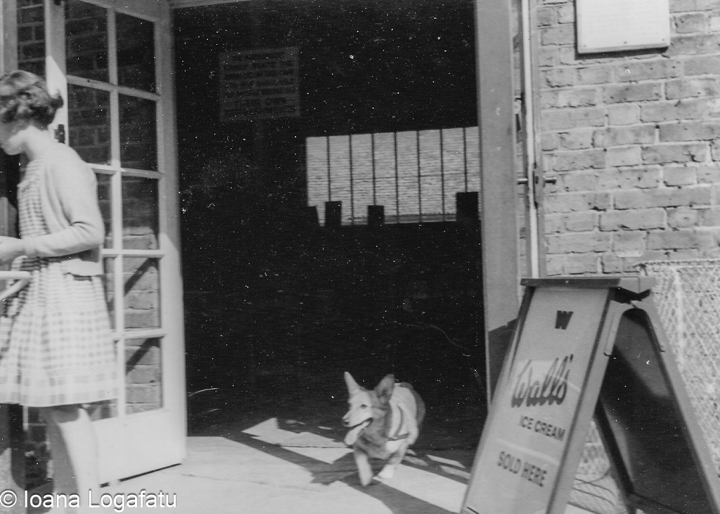 Girl and dog enjoying ice cream shop moment