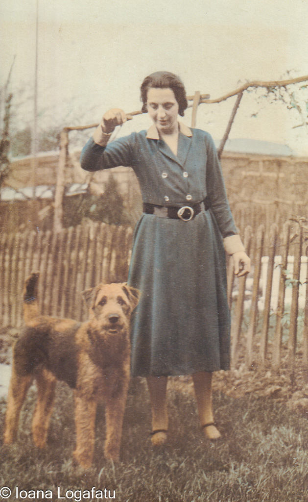 Woman in a blue dress playing with a dog outside