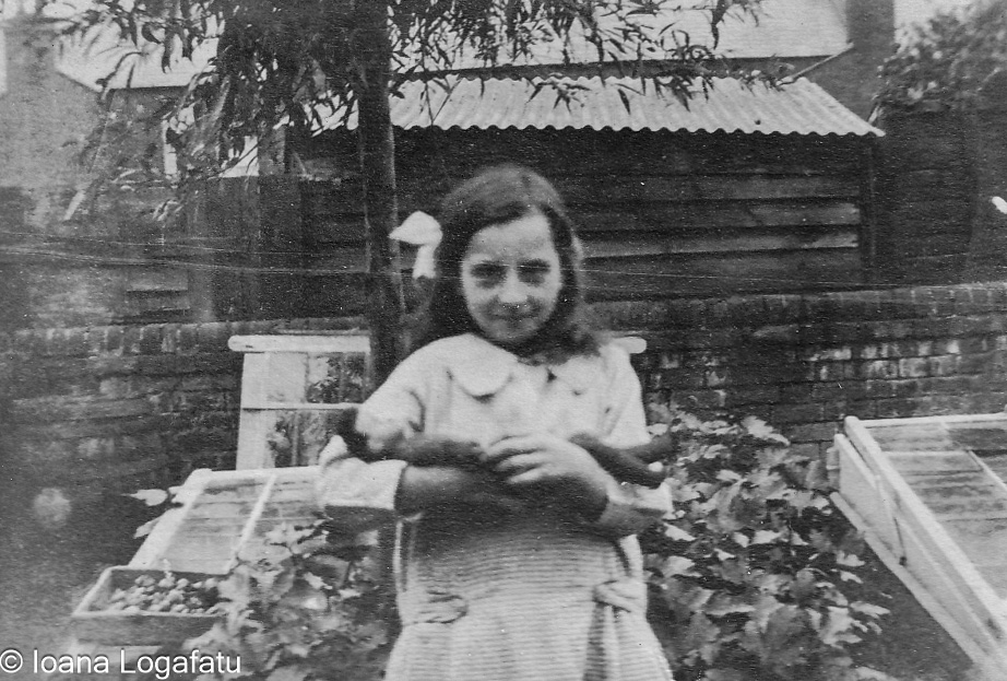 Girl holding vegetables in garden during summer