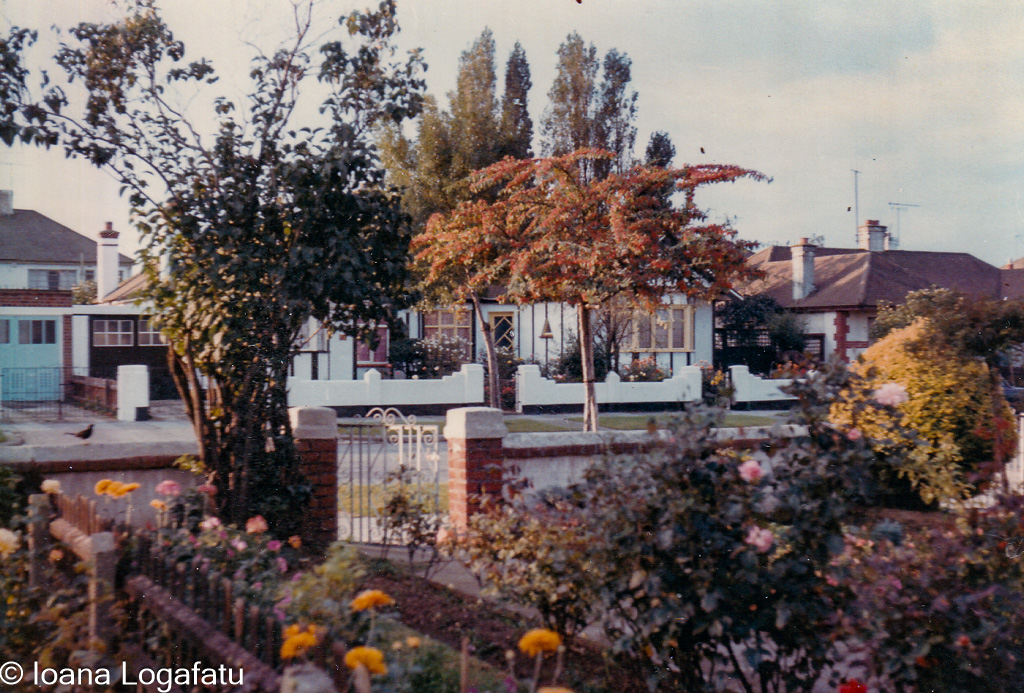 Charming suburban garden with blooms