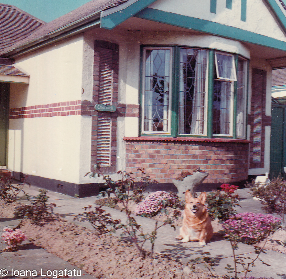 Corgi relaxing in front of a charming house