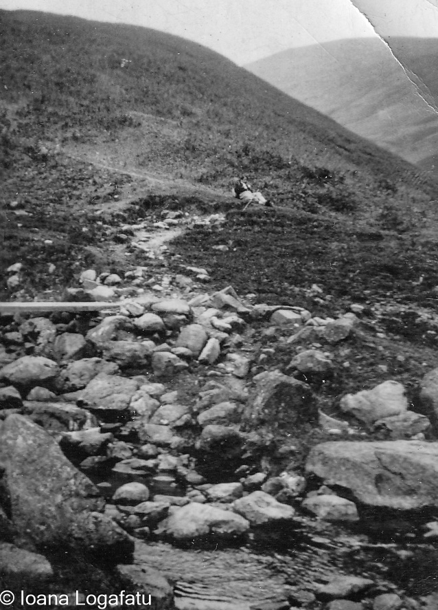 Mountain trail with rocky stream and rider