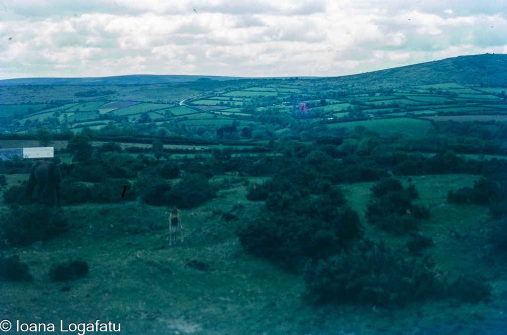 Expansive green hills under a cloudy sky
