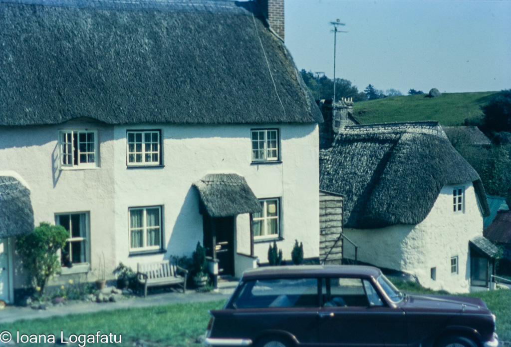 Historic thatched cottages in a rural landscape