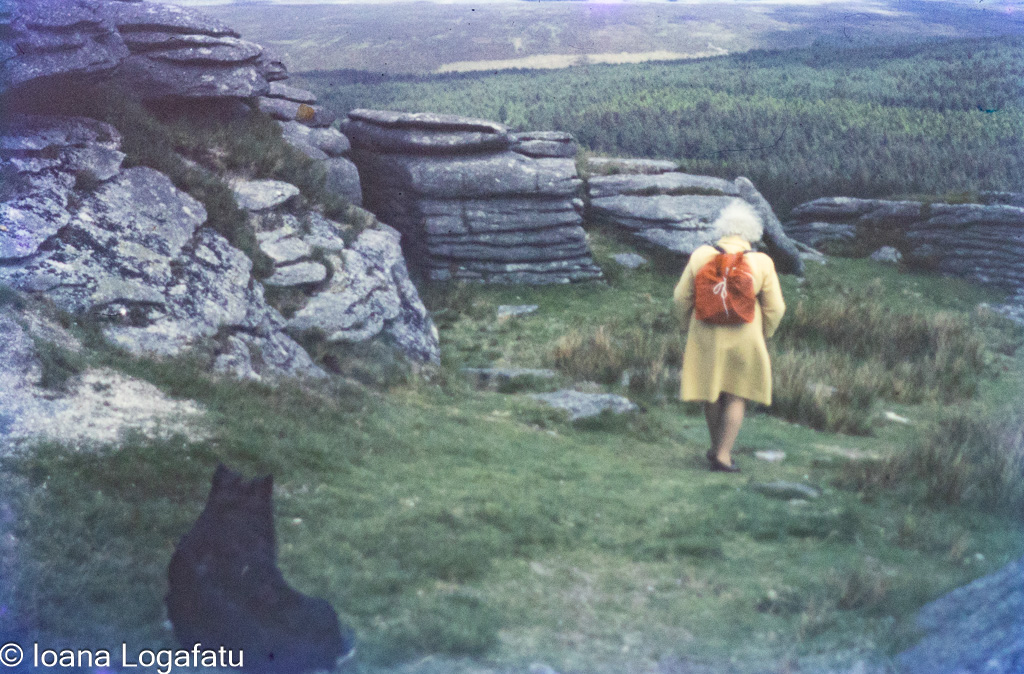 Woman hiking on rocky terrain with a dog
