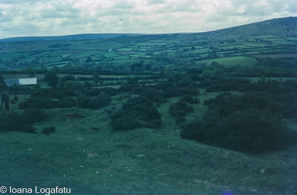 Rolling green hills under a cloudy sky