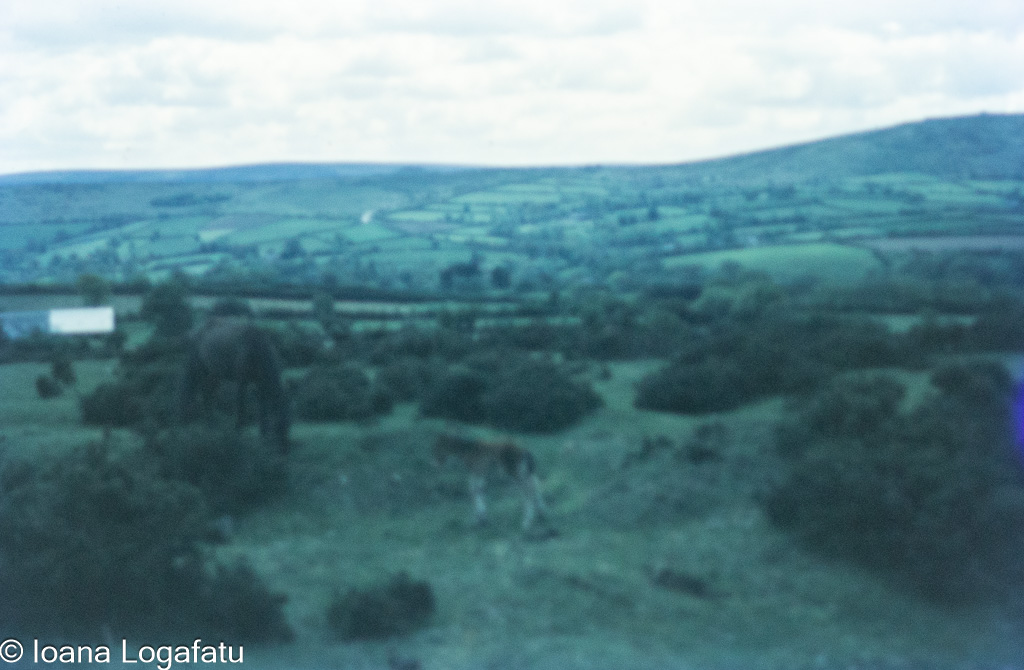 Scenic view of rolling hills in the countryside