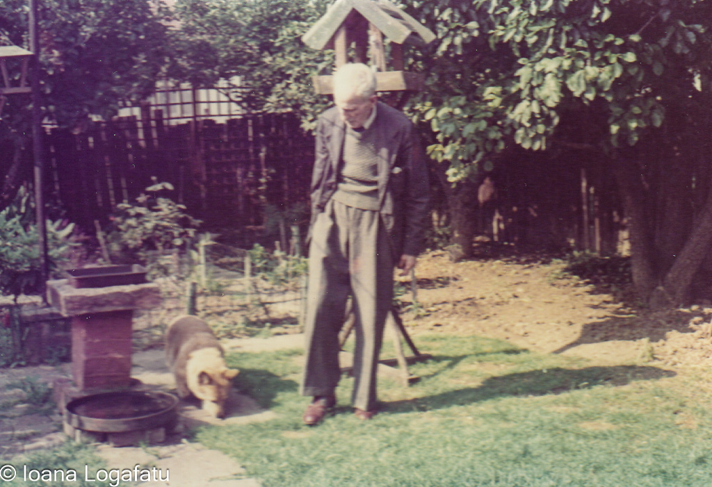 Man with dog in a garden during a sunny day