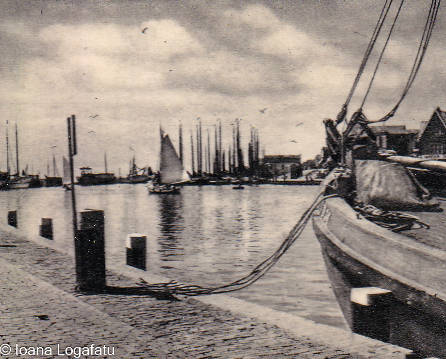 Boats docked near a calm harbor with sails up