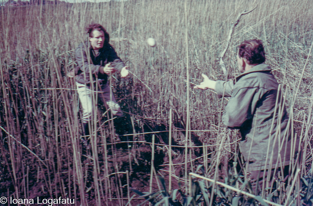 Two people playing catch in a grassy field