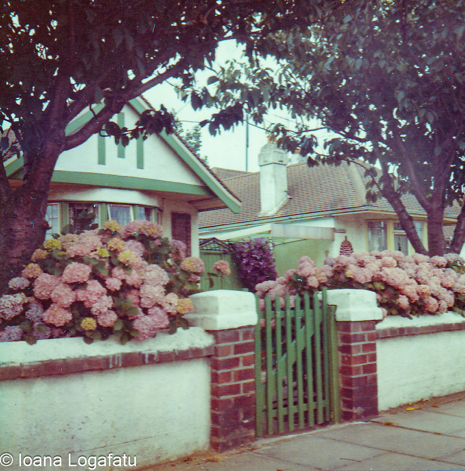 Charming house adorned with blooming flowers