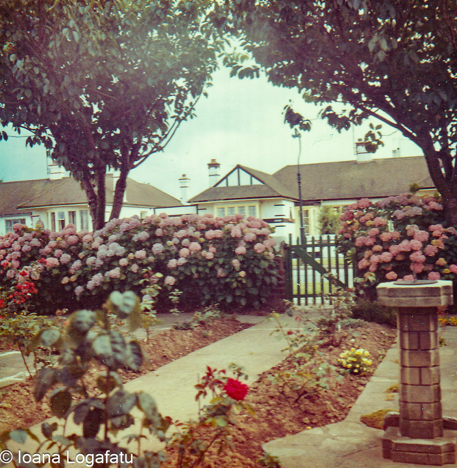 Blooming flowers in a charming garden