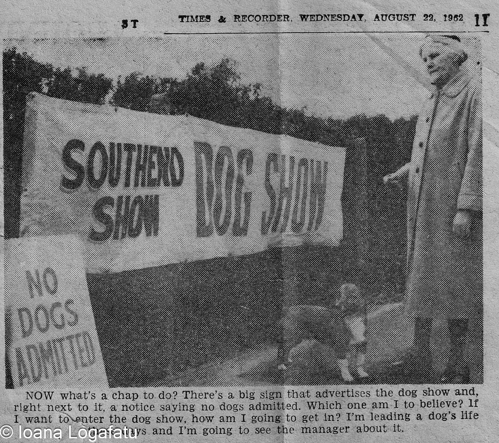 Dog show visitor puzzled by admission signs
