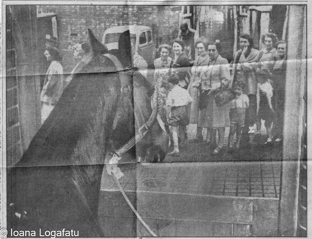 Group of women and children near a horse in town