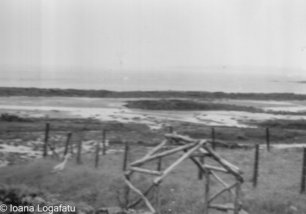 Wooden structure on coastal low tide