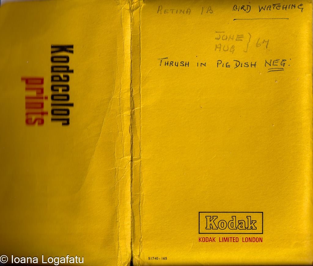 Bird watching memories captured in a vintage album