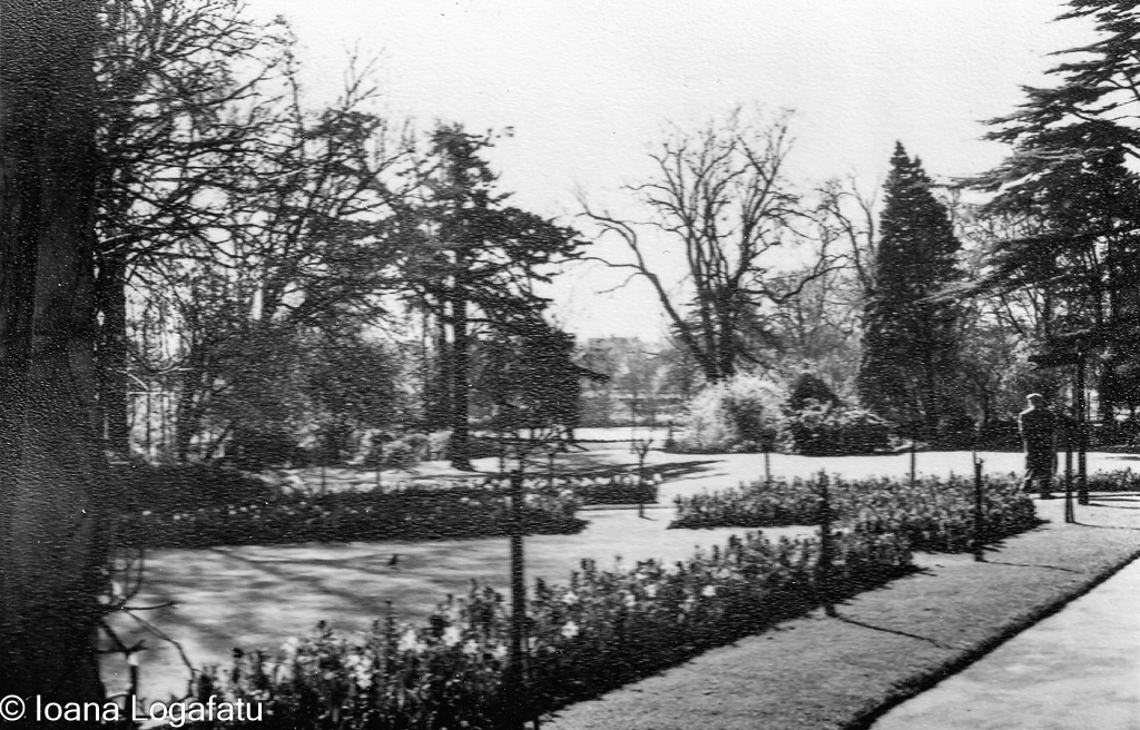 Serenity in a quiet garden during springtime