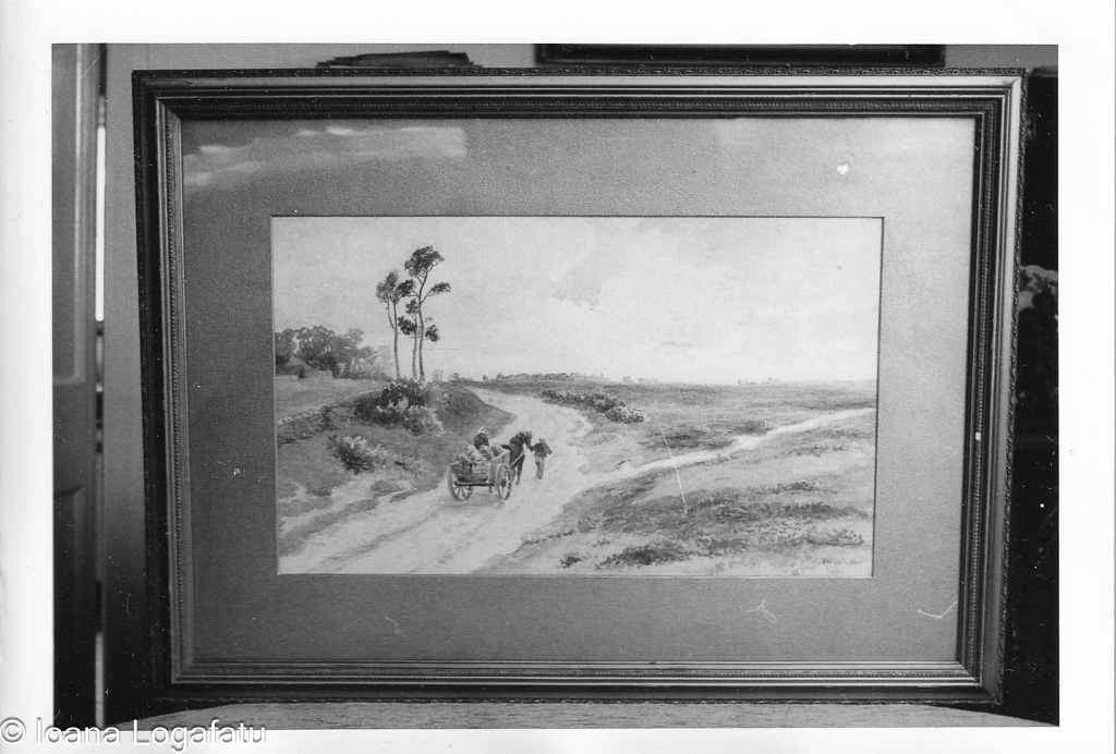 Journey through the tranquil countryside at dusk