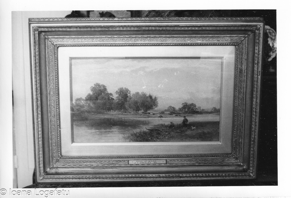 Delicate, captivating landscape art