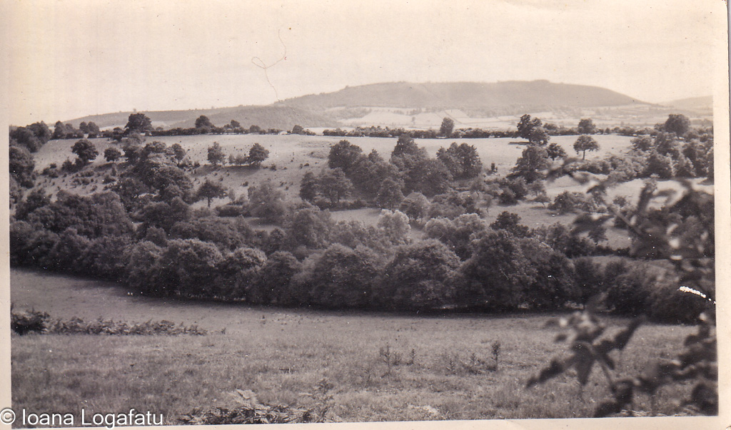 Lush hills in a peaceful landscape