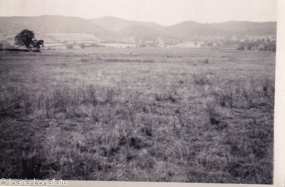 Tranquil hills and valleys ahead