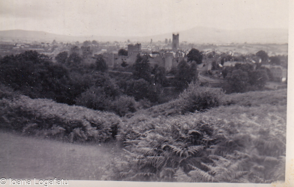 Scenic view of a quaint village from a hillside