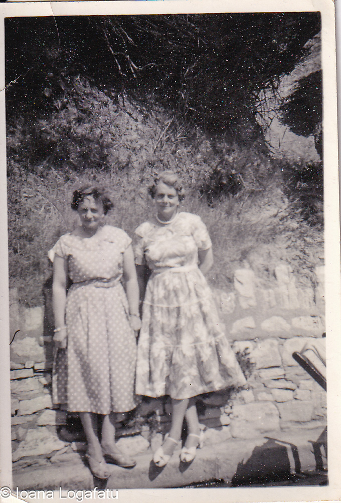 Two friends enjoying a sunny day in nature