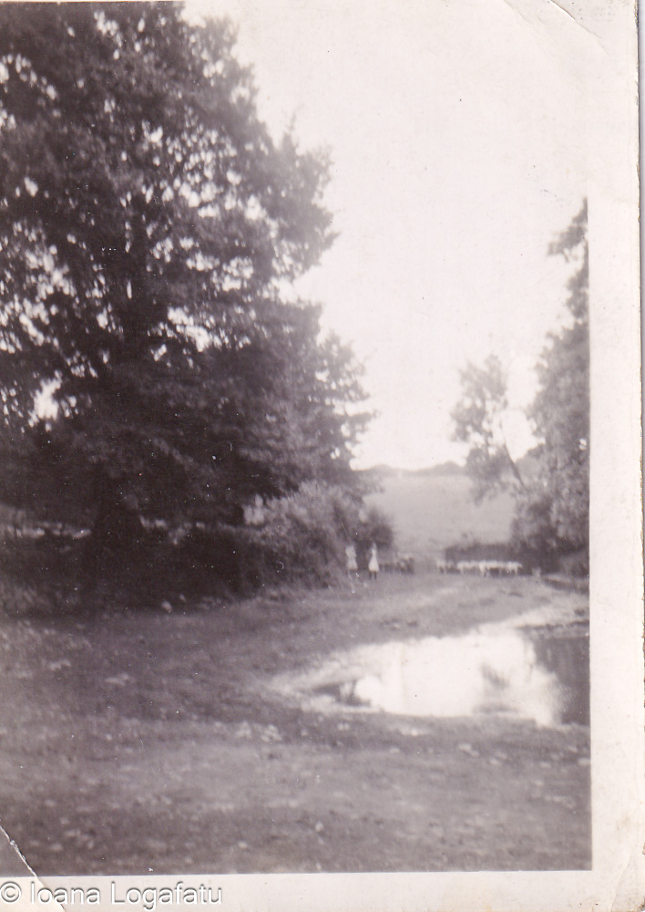 Serene landscape with water reflection at dusk