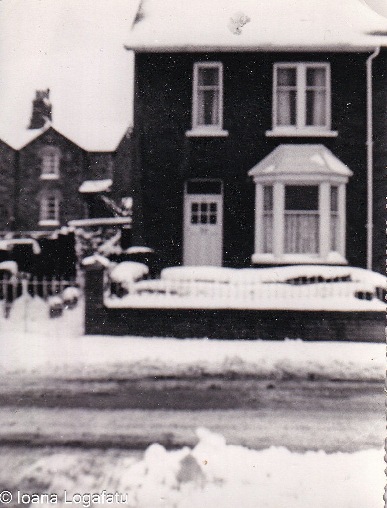 Winter wonderland in a quiet neighborhood street
