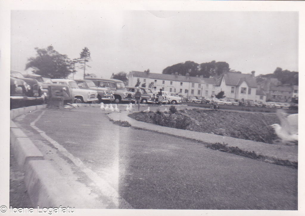 Serene waterfront with classic cars & wildlife