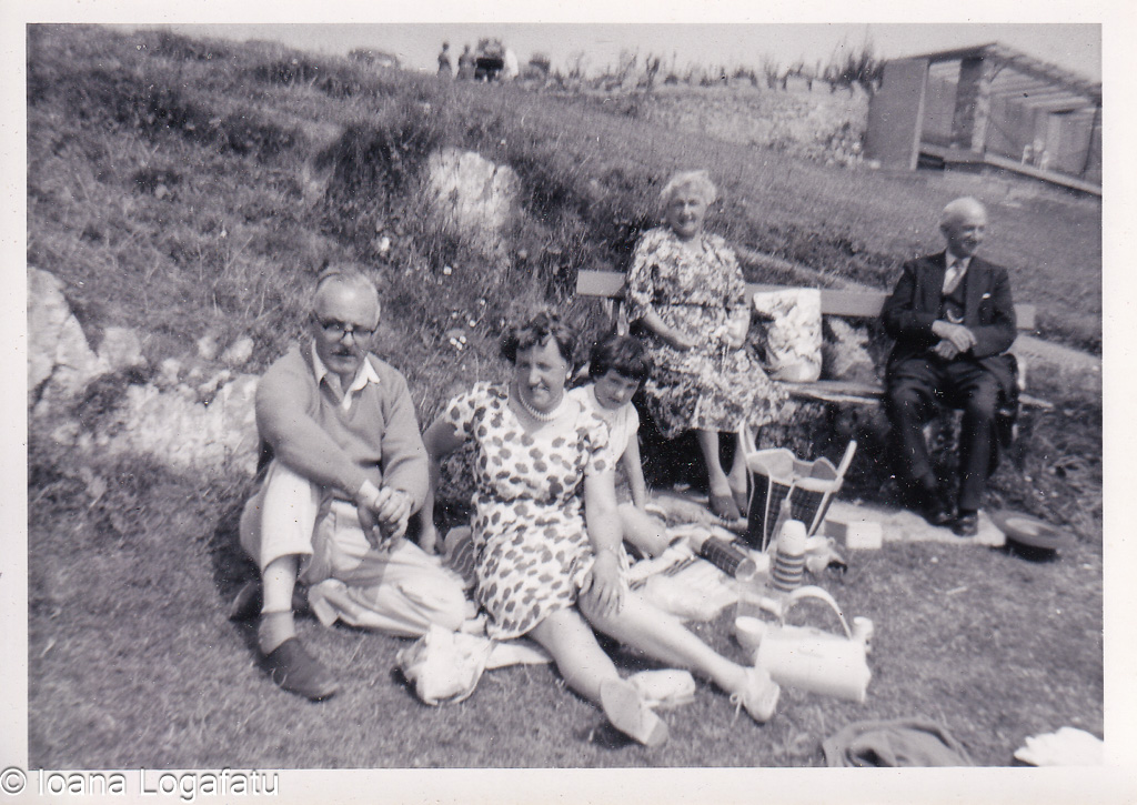 Joyful picnic gathering on a sunny afternoon