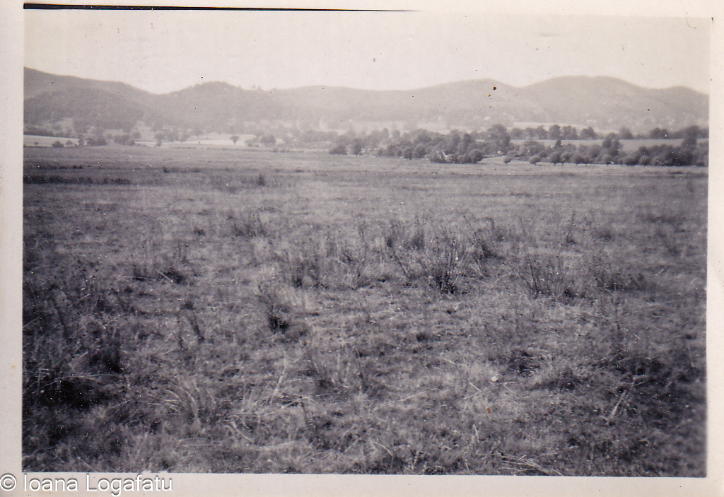 Expansive meadow under distant hills at midday