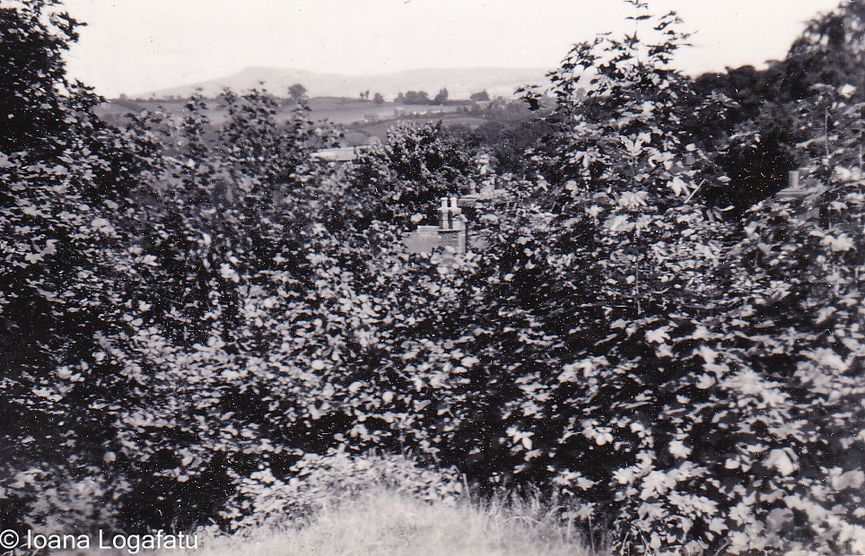 Nature's embrace above the quiet village hills