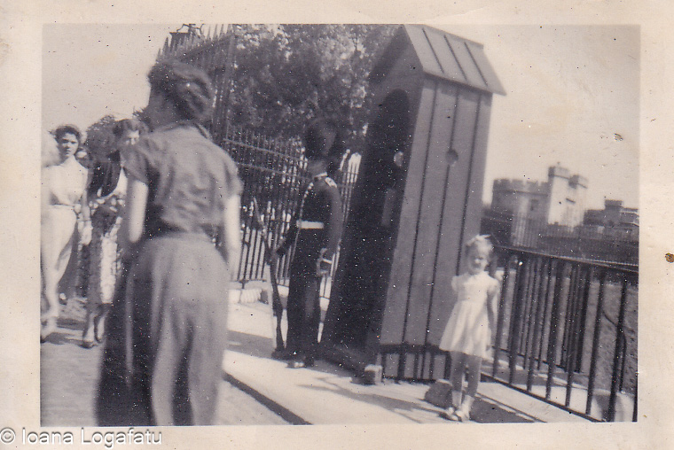 Kids and guardians enjoy a sunny park day
