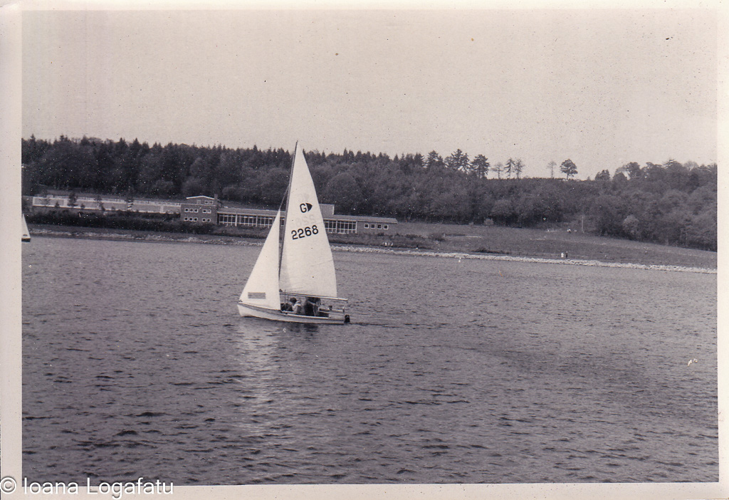 Sailing on calm waters with a backdrop of trees