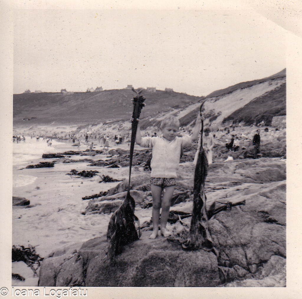 Child enjoys beach day holding seaweed treasures