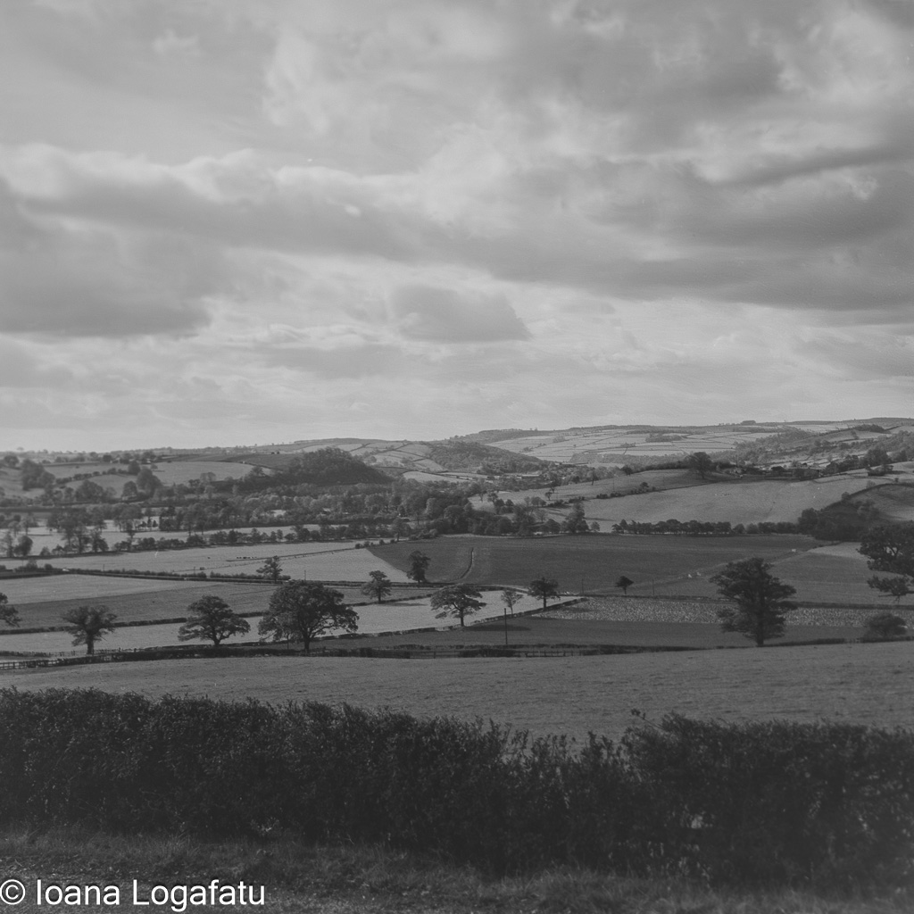 Serenity in rolling hills under a cloudy sky