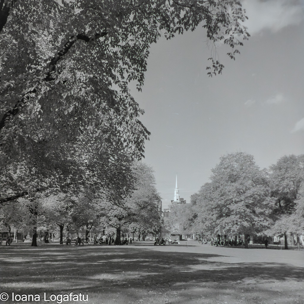 Sunny autumn day in the park