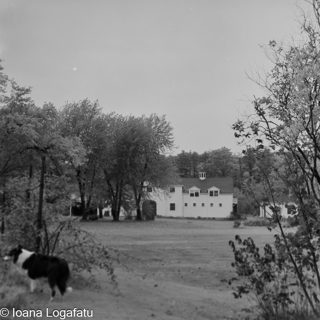 Charming nature retreat in the countryside